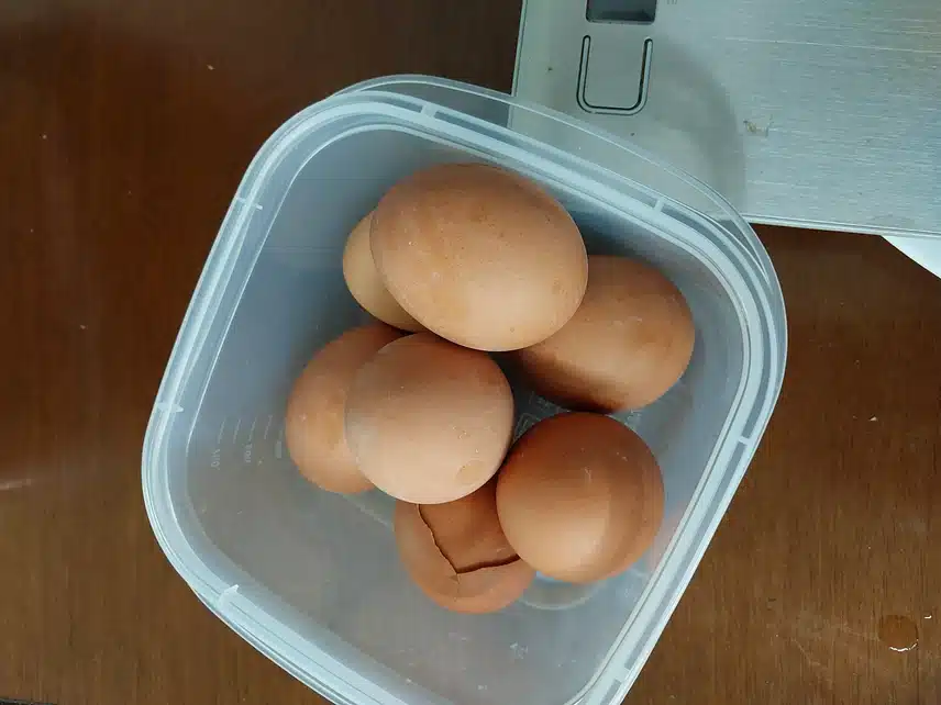단백질