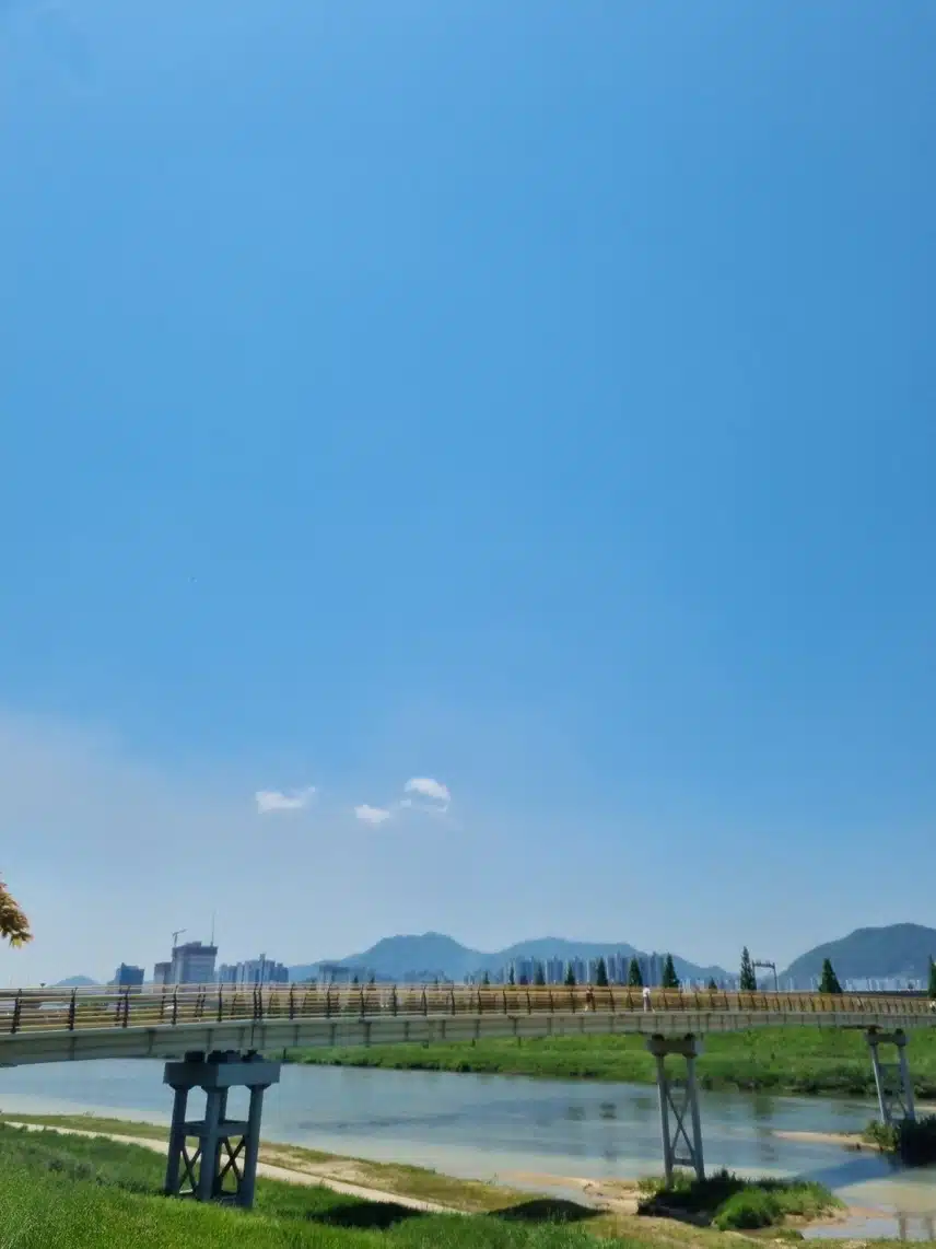  오늘은 오후 운동