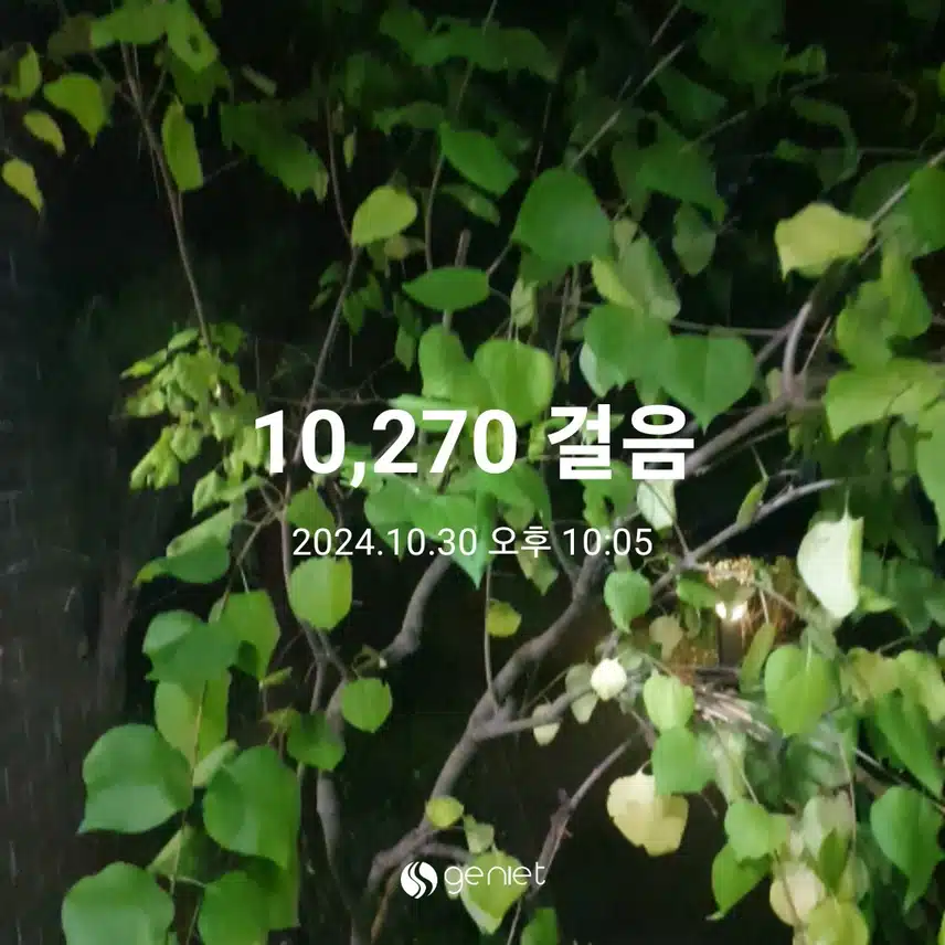 만보 했어요^^
