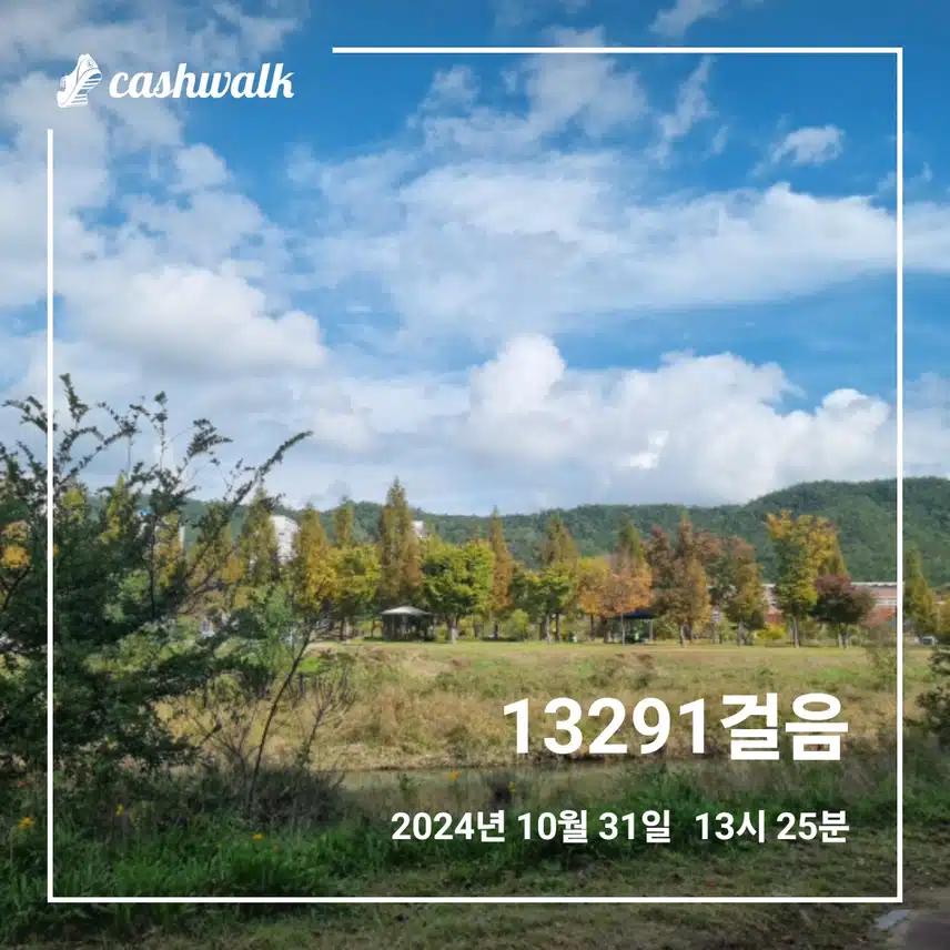 점심은 코다리조림