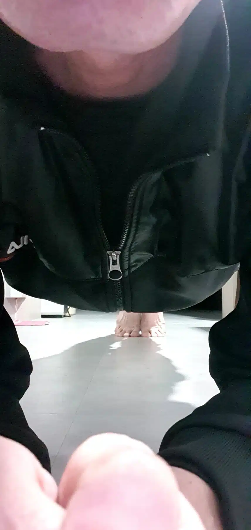 플랭크 