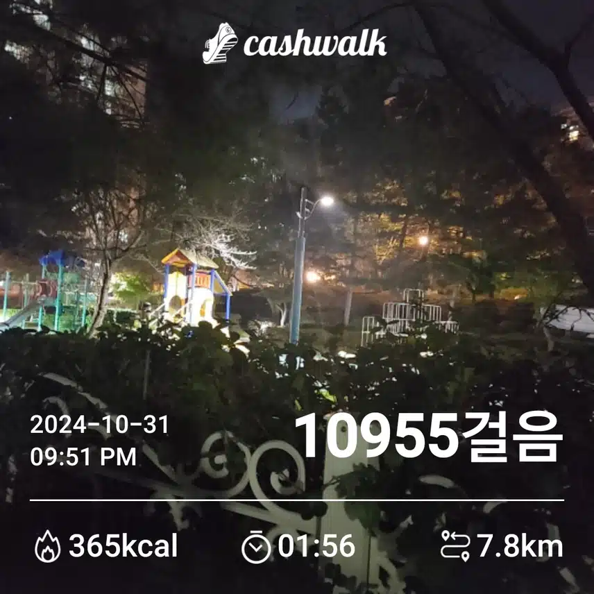 늦은밤 만보완성...
