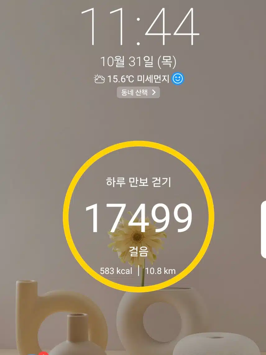 1만7천보 걷기