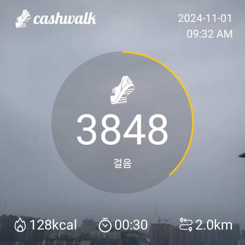 3천보걷기 달성했습니다 