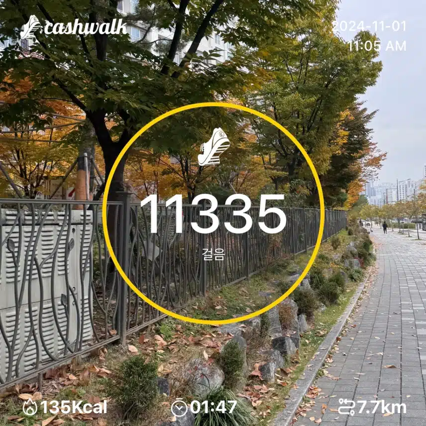 금요일 만보걷기