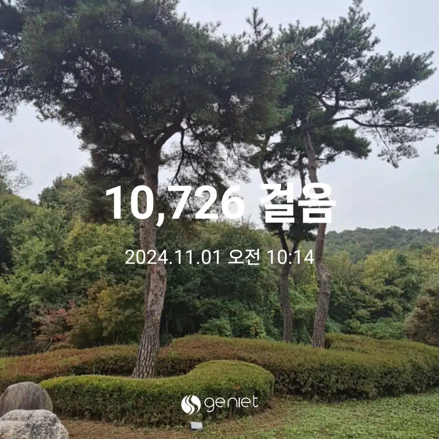 만보걷기 부터 완료 했어요