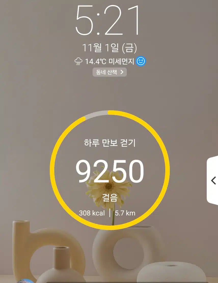 하루 6천보 걷기 