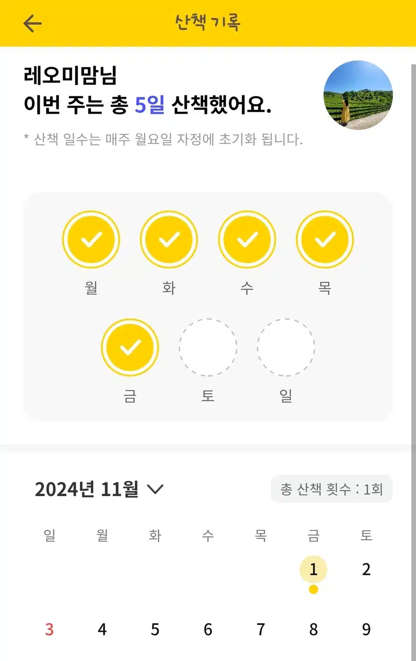 11/1(금)동네산책 잘했지요~^^