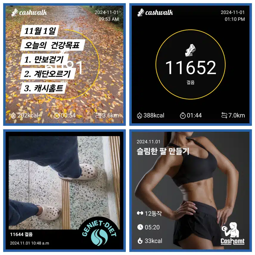 11/1  오운완