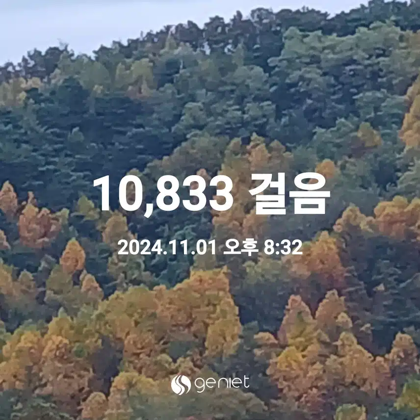 오늘의 만보걷기 완주 성공~♡♡
