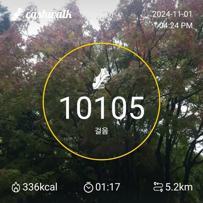 벌써 11월!