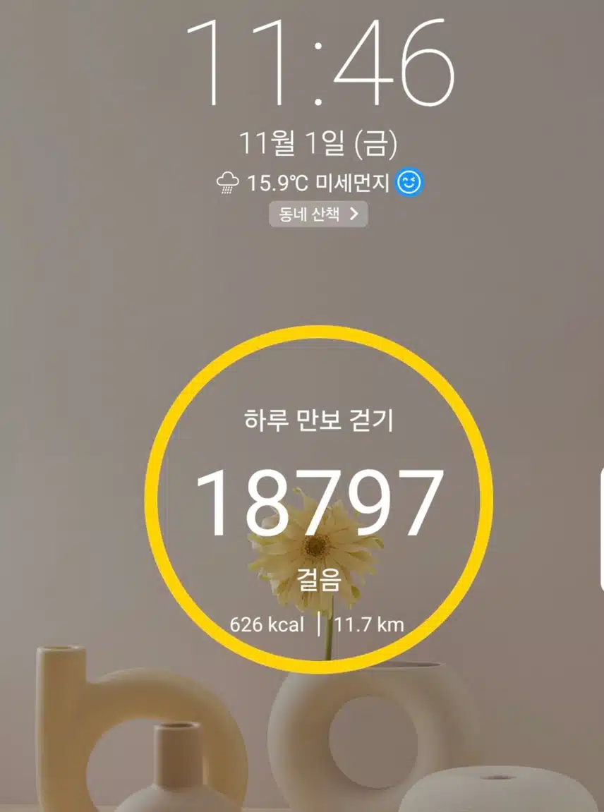 1만8천보 걷기 