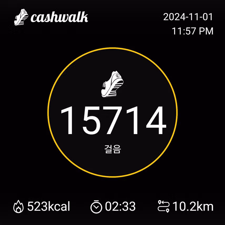 11월1일 ..만보걷기 했어요 