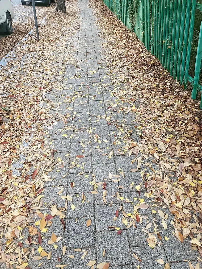 오늘도 러닝 