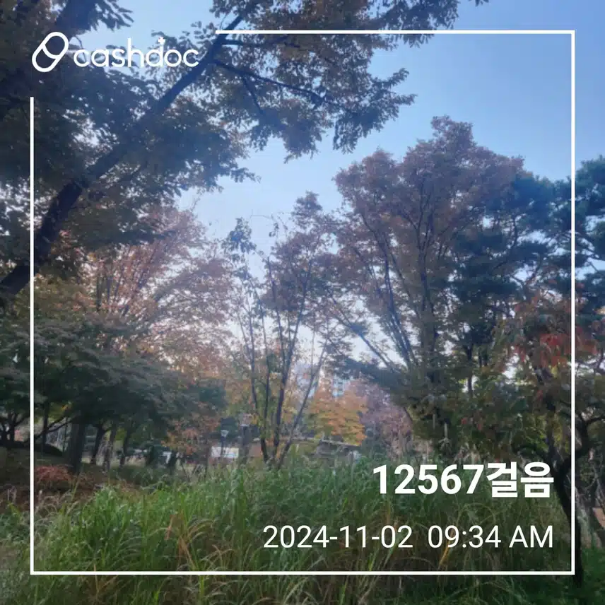 토요일 아침 만보걷기 