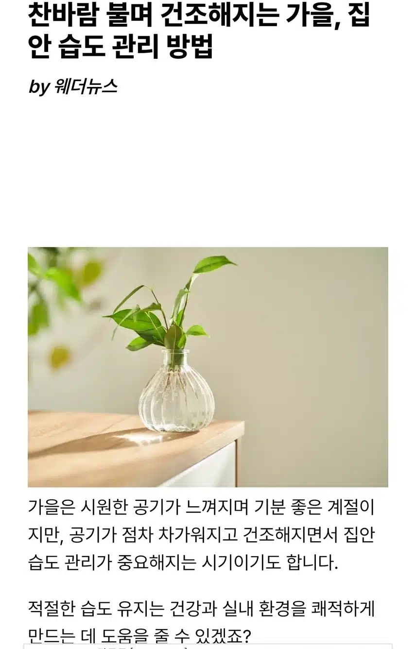 가을철 집안 습도 관리법
