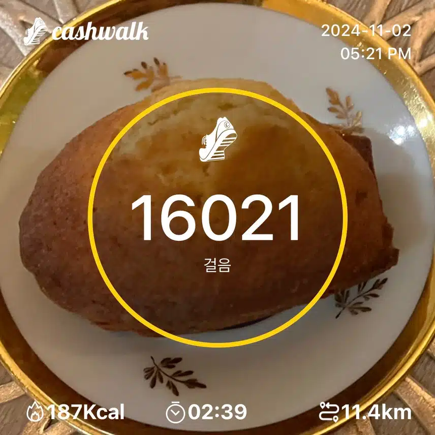 토요일 만보걷기 🍁만육천보