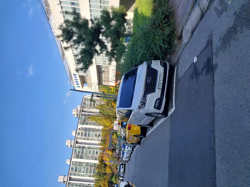 오늘 오후 타임은 도서관에서