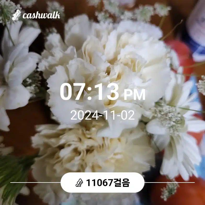 만천보걷기 운동 했어요 