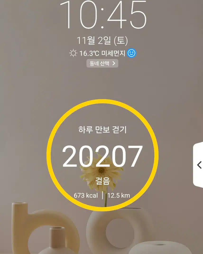 2만보걷기 