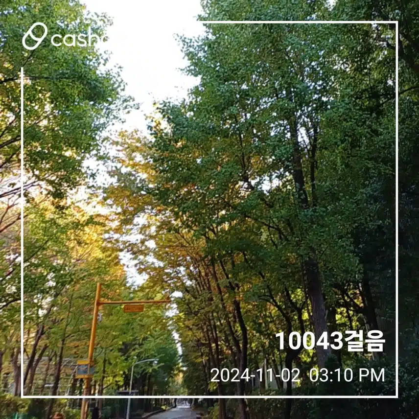 만보걷기 