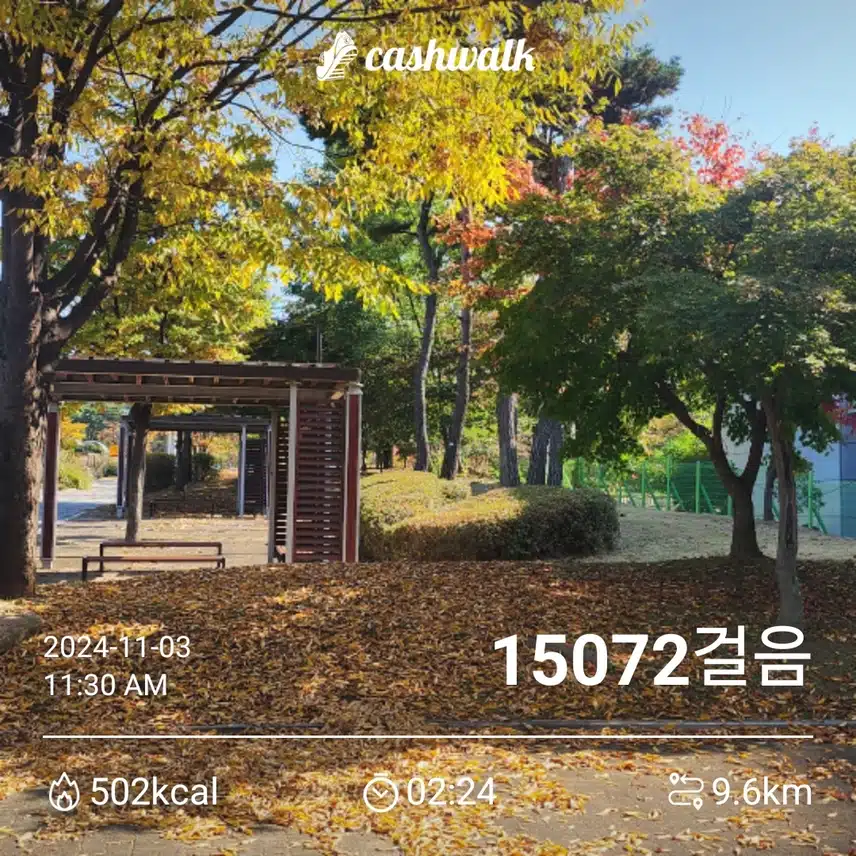 일요일 만보걷기 ~^^