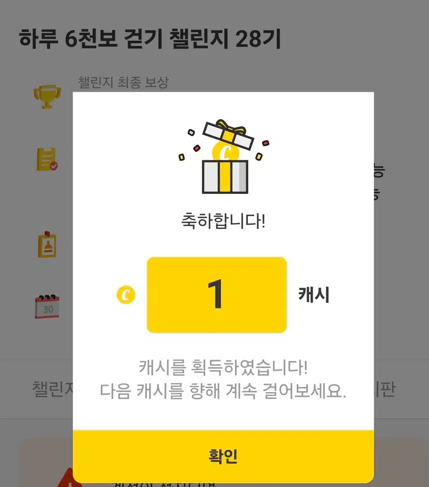 하루 6천보 걷기 인증 캐시 
