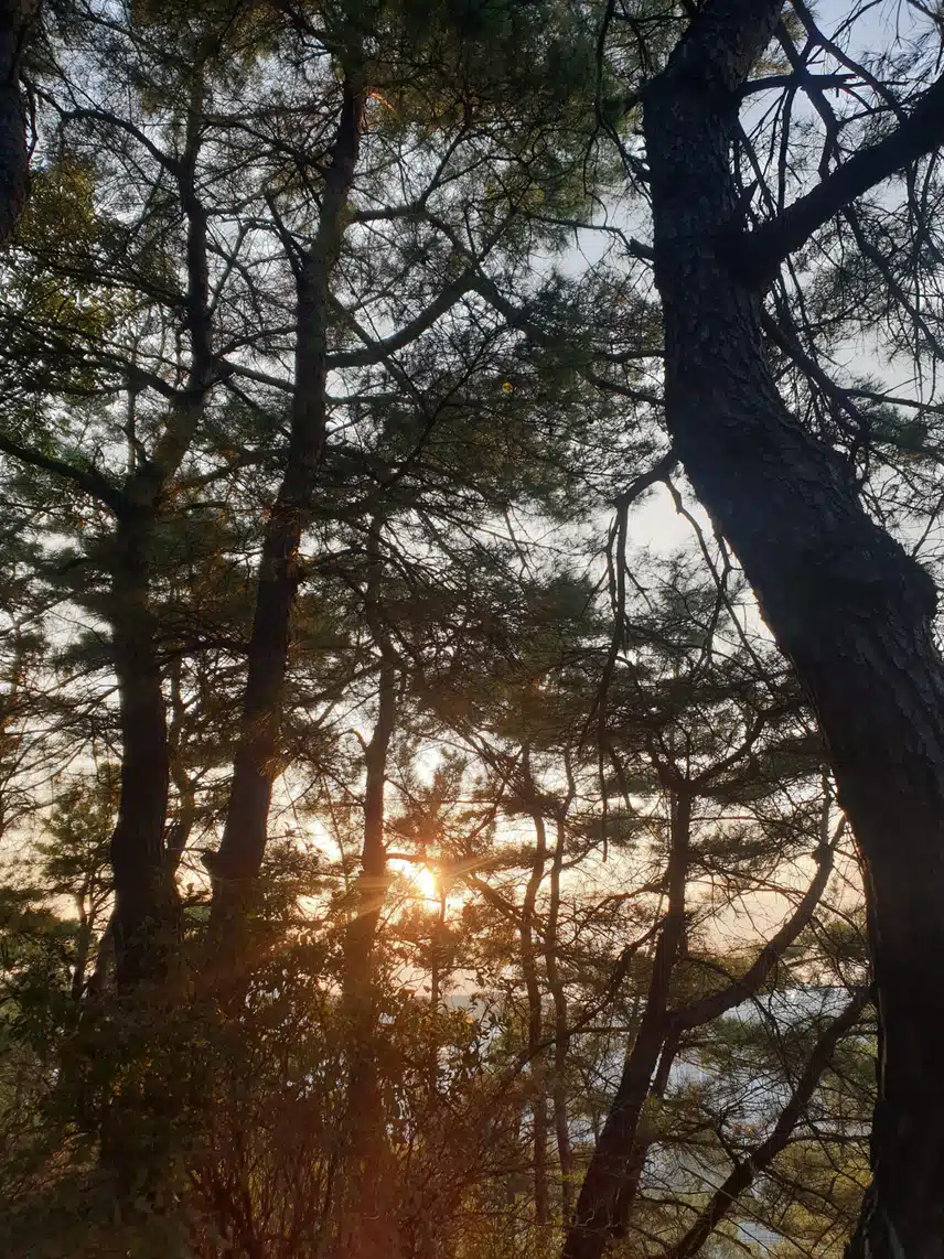 청명한 가을 속을 걷다 