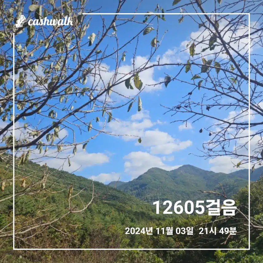 오늘 만보걷기