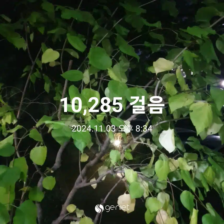 만보 걸었어요~~
