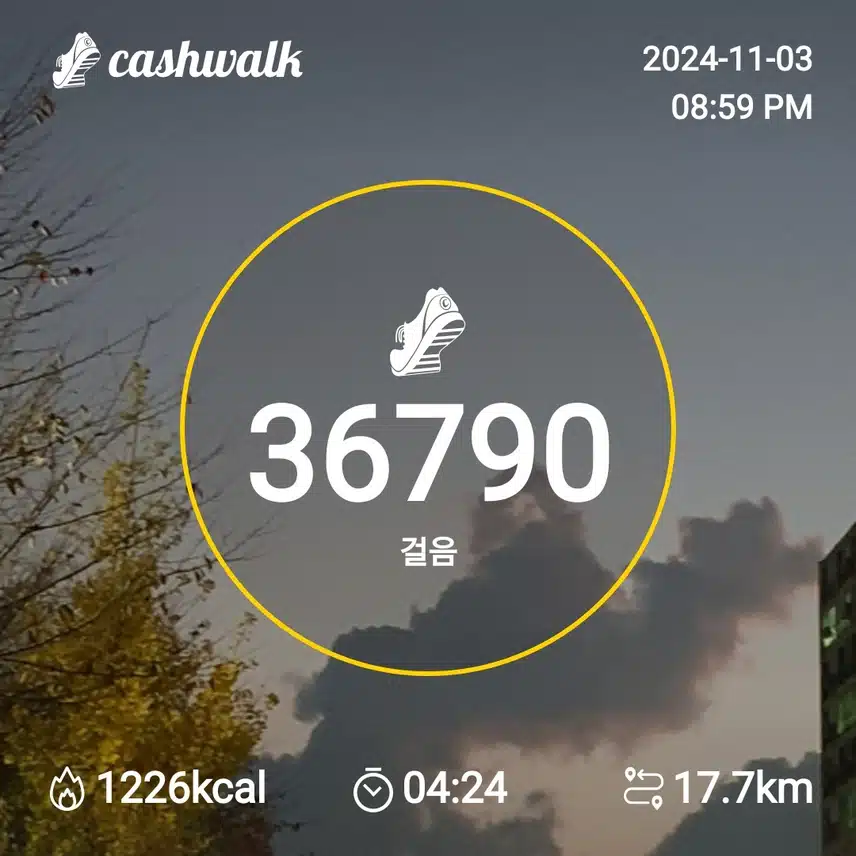 3만보 걸었어요 