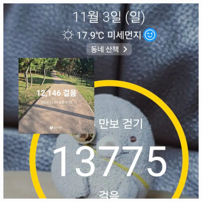  일요일 건기  인증 할게요~
