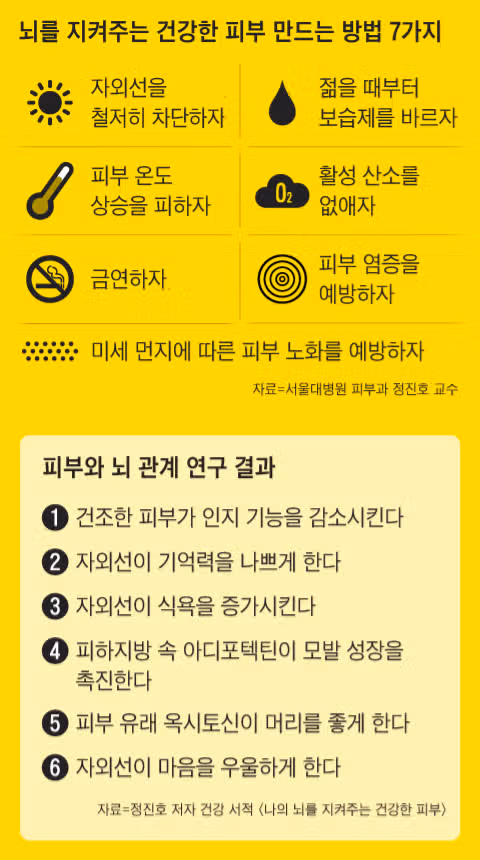 뇌를 지켜주는 건강한 피부 만드는 방법 