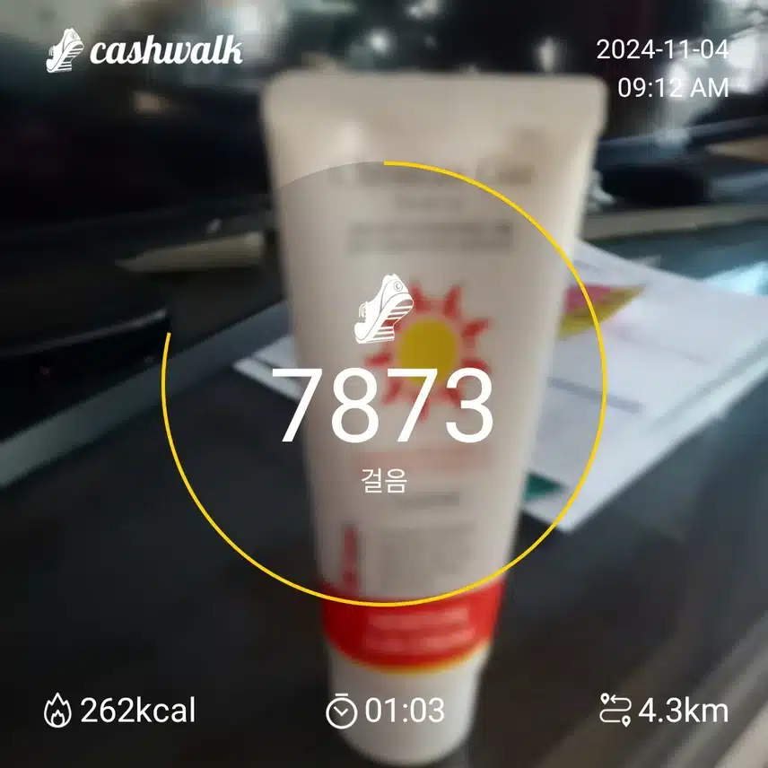 5일차