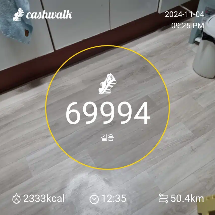 11월4일 걷기 인증