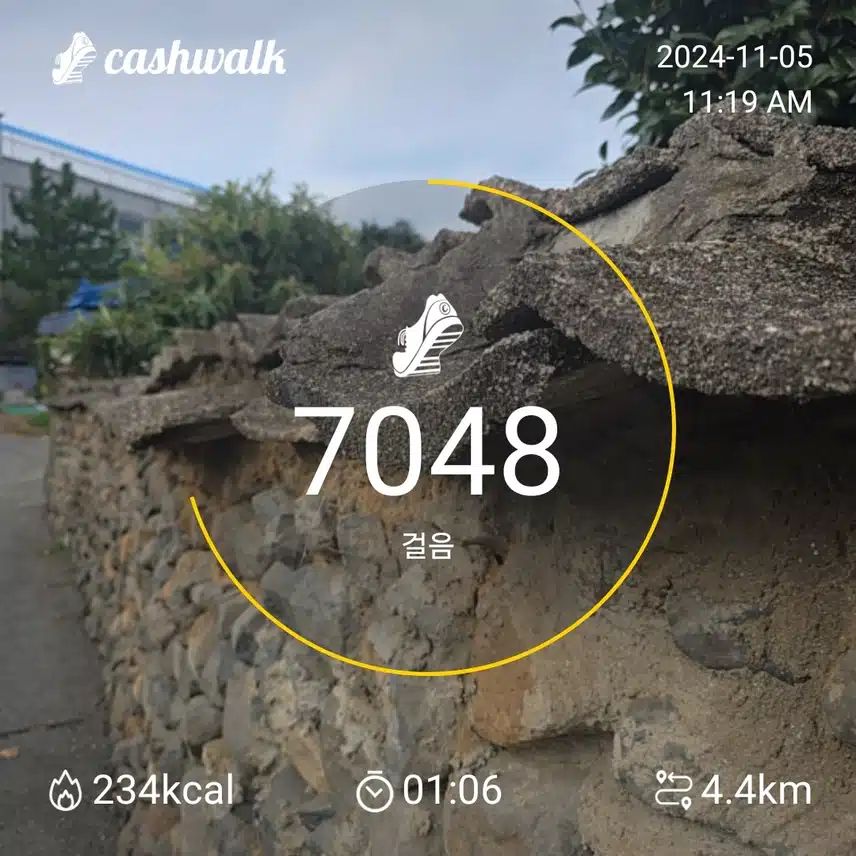 인증 