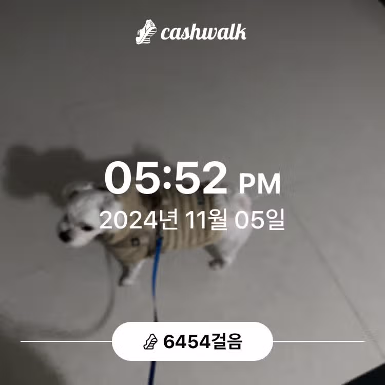 인증