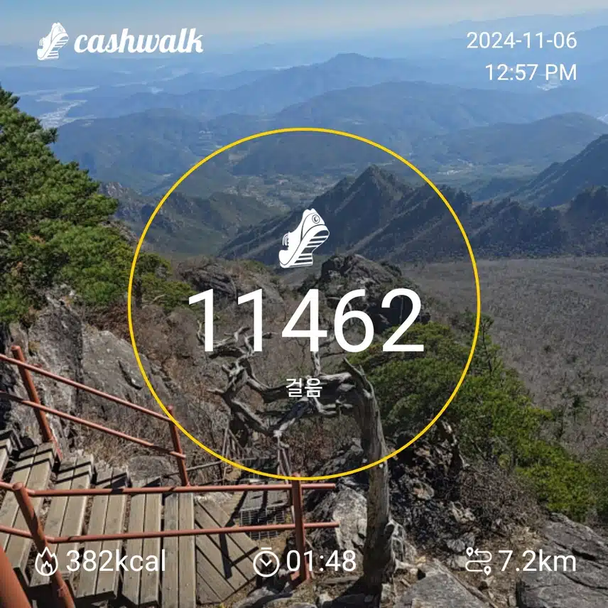 인증 
