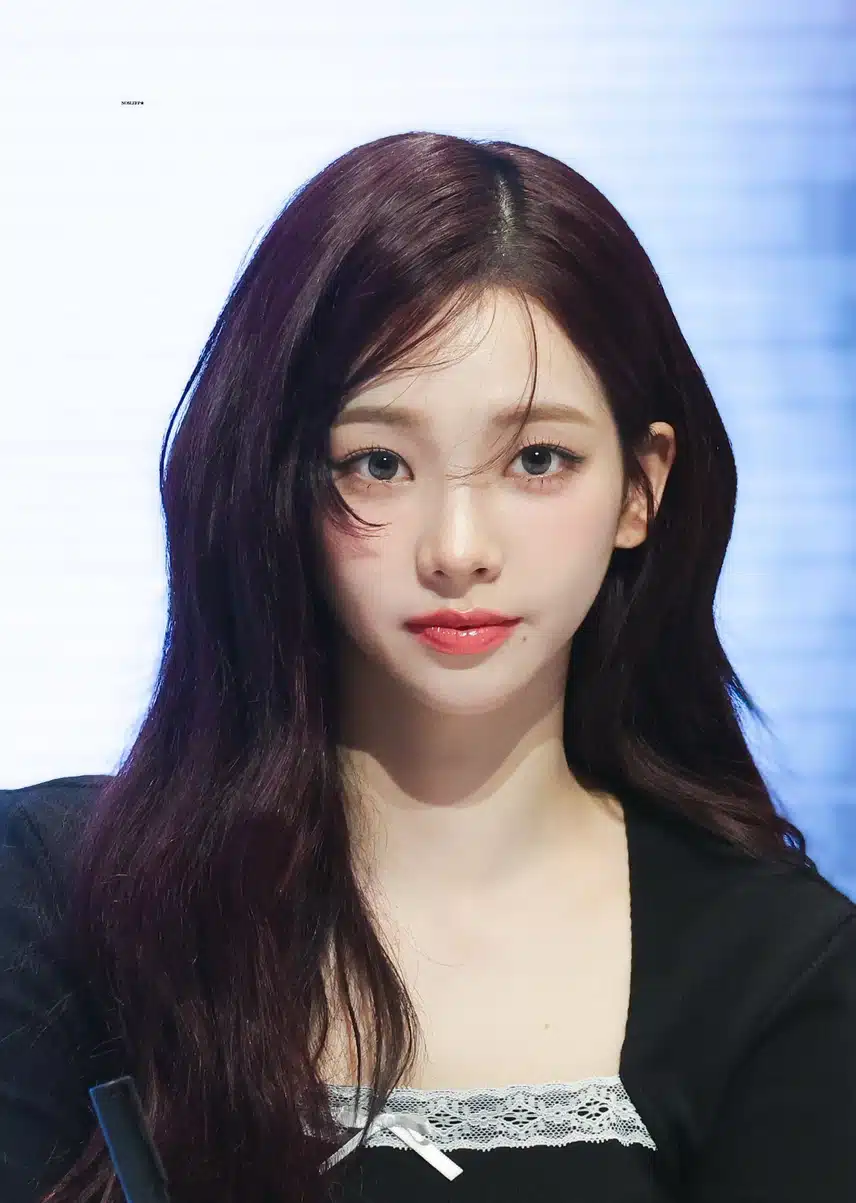 기자님 우리 어디에서 본 적 있지 않아요? 