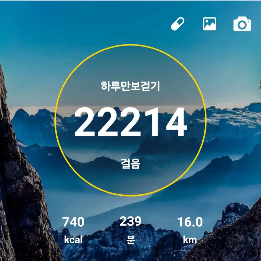 보라소년과함께하는하루5천보걷기챌린지3일차인증샷