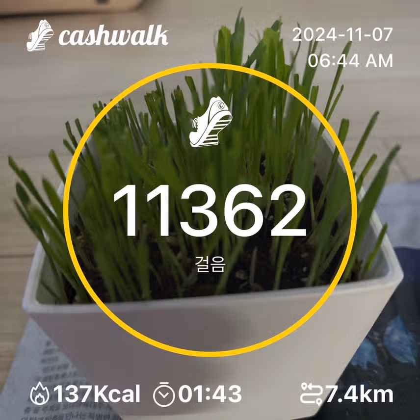 인증