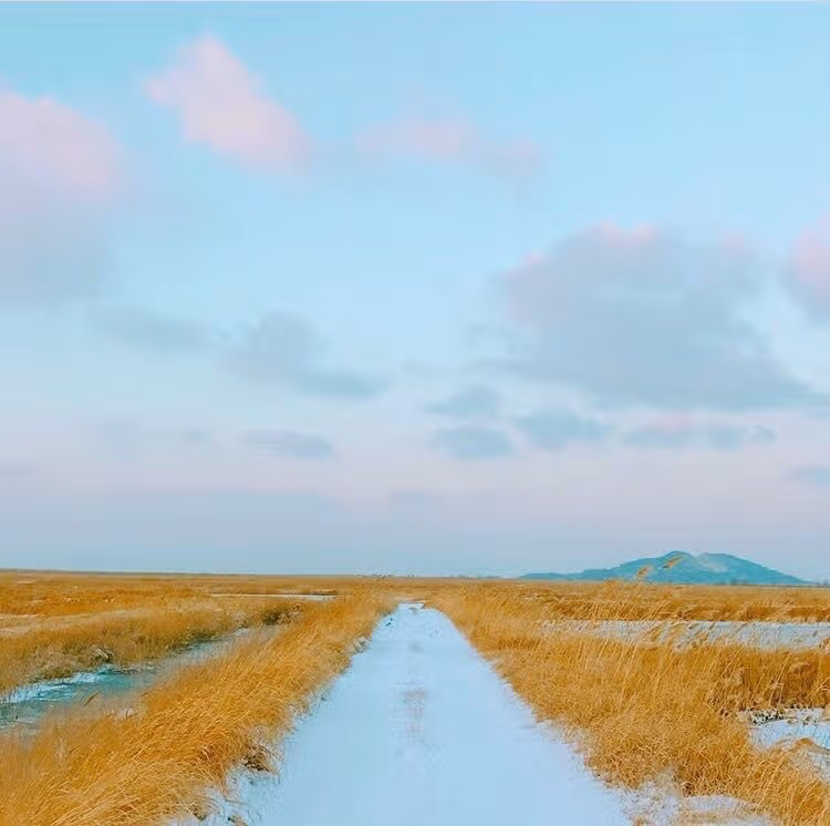Foto-Foto V BTS 2024: Gambar Terbaru dan Wallpaper Memukau Kim Taehyung