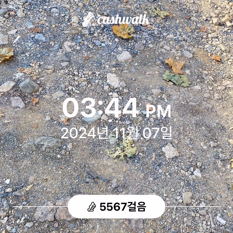인증