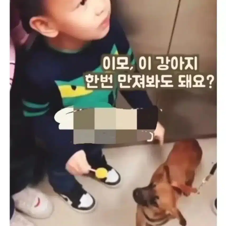 이모! 이 강아지 한번 만져봐도 돼요?