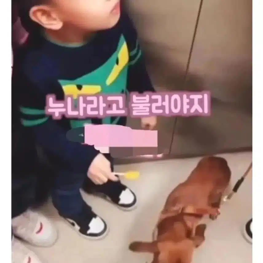 이모! 이 강아지 한번 만져봐도 돼요?