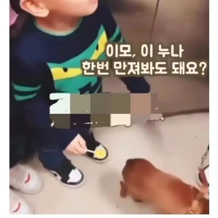 이모! 이 강아지 한번 만져봐도 돼요?