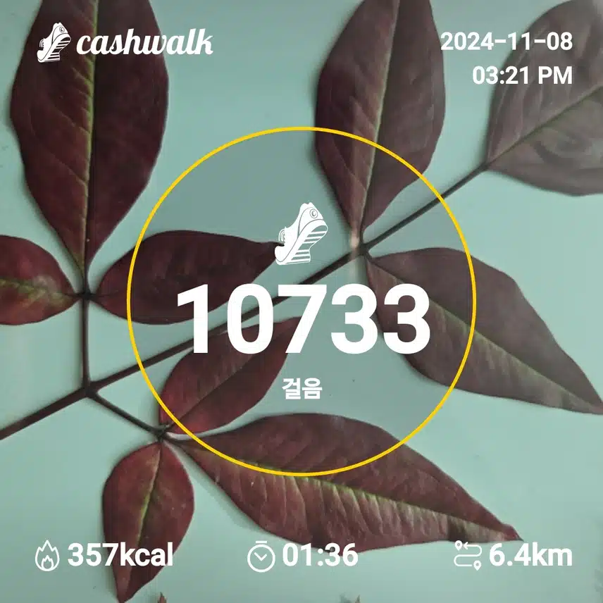 인증 