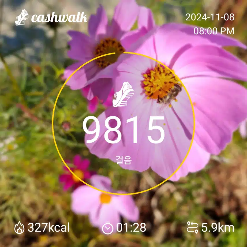 인증 