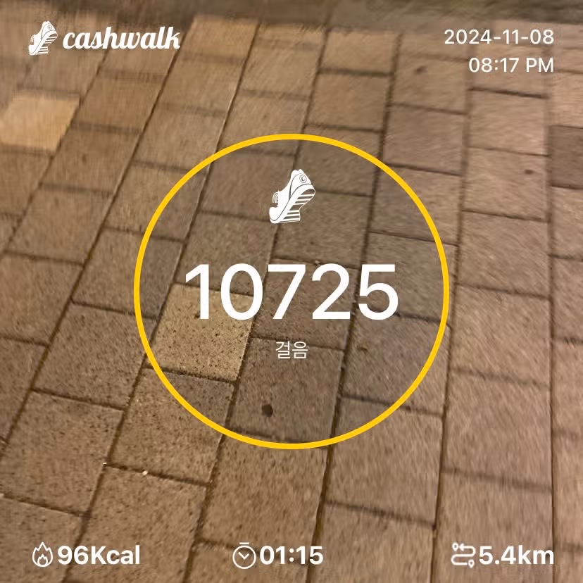 5일차