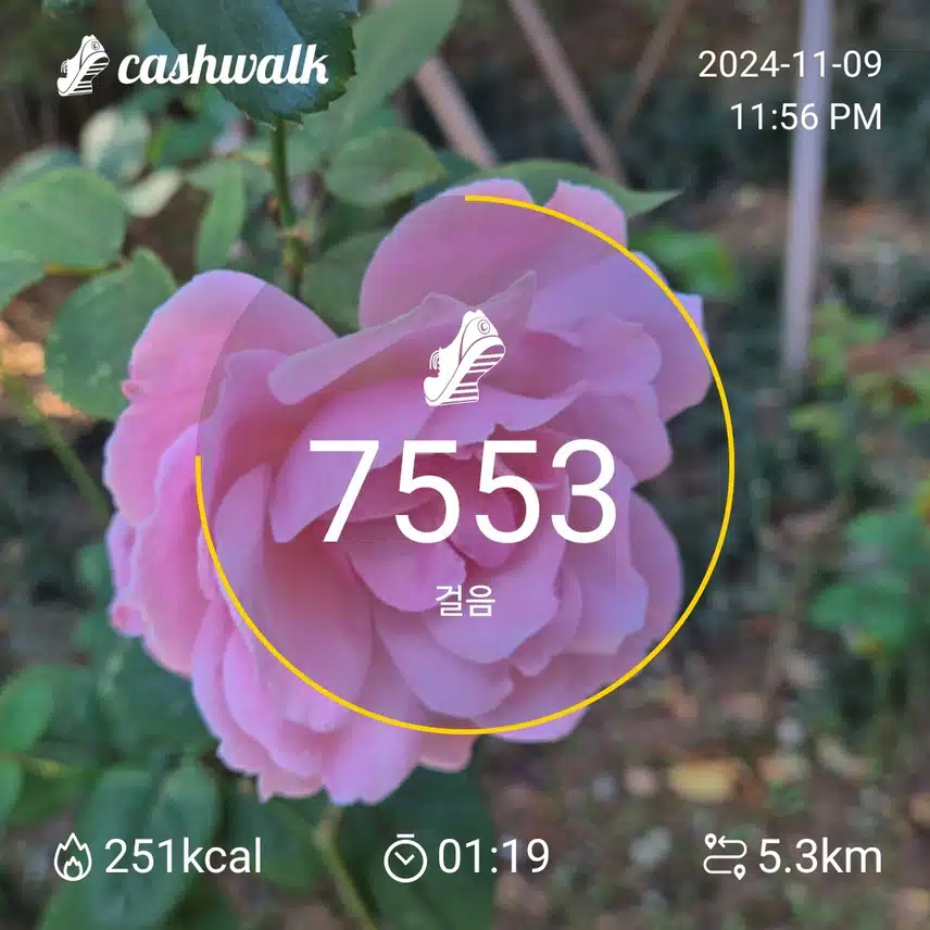 인증'